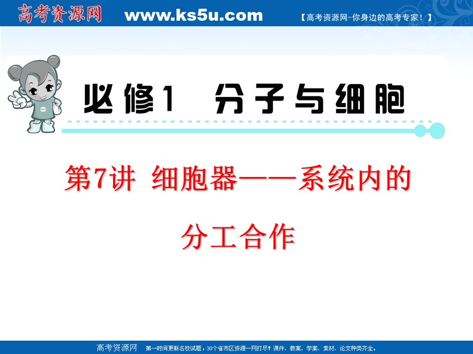 2013届新课标高中总复习（第1轮）F（生物）福建专版：必修1第7讲 细胞器——系统内的分工合作.ppt_第2页