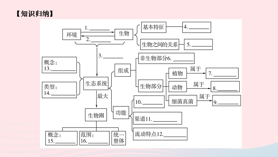 2022七年级生物上册 第一单元 生物和生物圈复习作业课件 （新版）新人教版.ppt_第2页