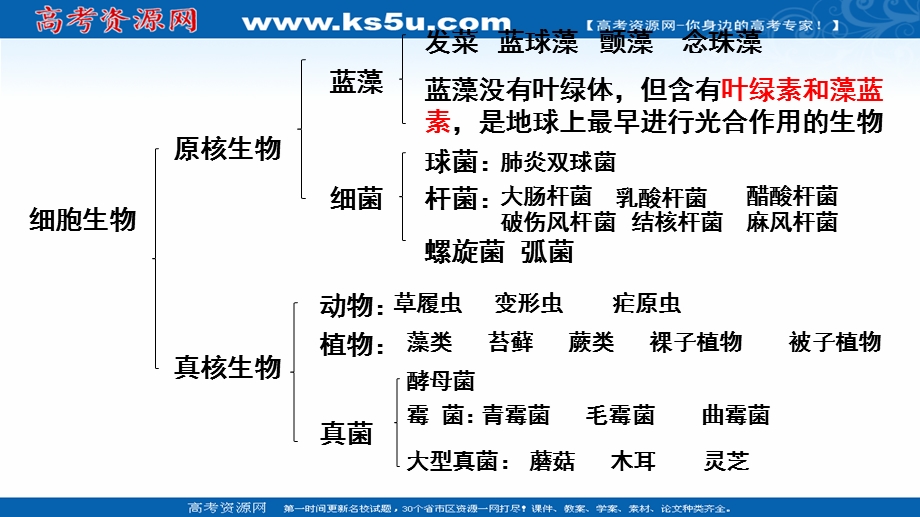 2017届一轮复习生物课件-多种多样的细胞详细 （共17张PPT） .ppt_第1页