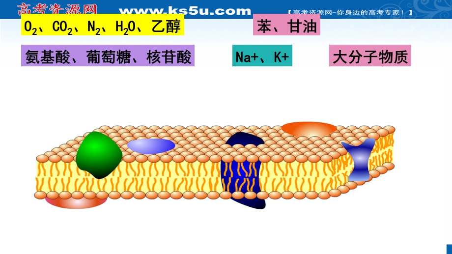 2017届一轮复习生物课件-物质进出细胞的方式 （共22张PPT） .ppt_第3页