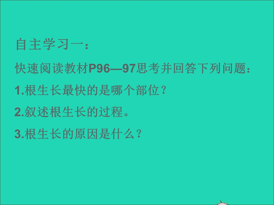 2022七年级生物上册 第三单元 生物圈中的绿色植物第二章 被子植物的一生 第2节植株的生长课件 （新版）新人教版.ppt_第3页