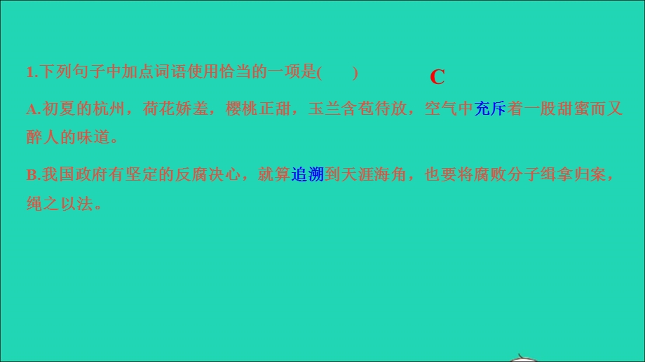 2021中考语文 专题二 词语、标点课件.ppt_第2页