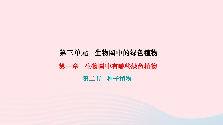 2022七年级生物上册 第三单元 生物圈中的绿色植物第一章 生物圈中有哪些绿色植物第二节 种子植物作业课件 （新版）新人教版.ppt_第1页