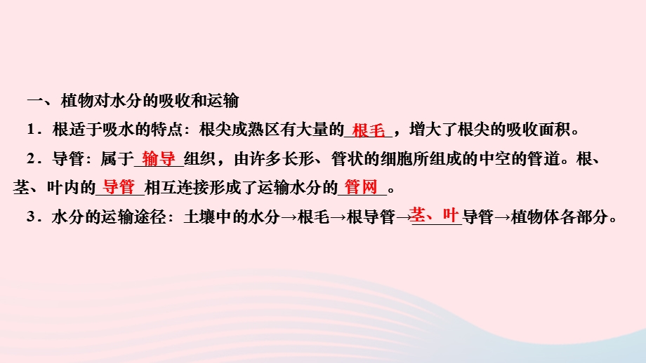 2022七年级生物上册 第三单元 生物圈中的绿色植物第三章 绿色植物与生物圈的水循环作业课件 （新版）新人教版.ppt_第3页