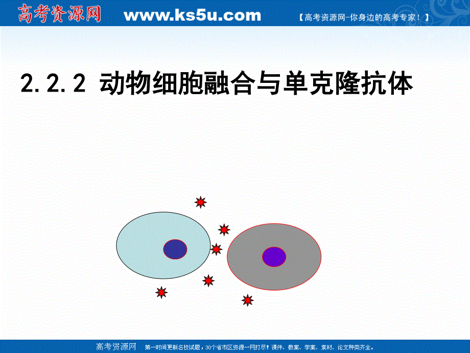 2017届一轮复习生物课件--动物细胞融合与单克隆抗体 （共27张PPT） .ppt_第1页