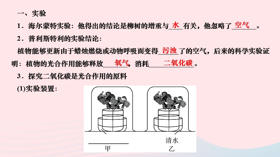 2022七年级生物上册 第三单元 生物圈中的绿色植物第五章 绿色植物与生物圈中的碳—氧平衡第一节 光合作用吸收二氧化碳释放氧气作业课件 （新版）新人教版.ppt_第3页