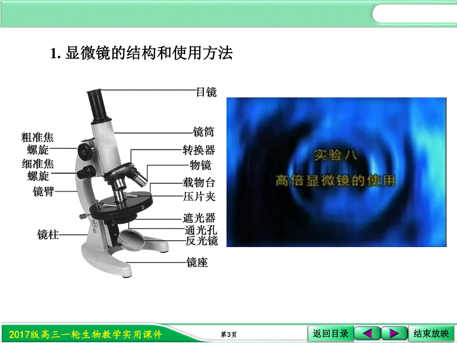 2017届人教版高三生物第一轮复习课件：1-1-3高倍显微镜的使用 .ppt_第3页