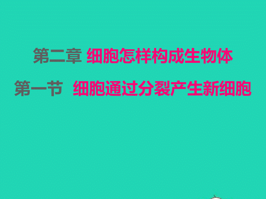 2022七年级生物上册 第二单元 生物体的结构层次第二章 细胞怎样构成生物体 第1节细胞通过分裂产生新细胞课件 （新版）新人教版.ppt_第1页