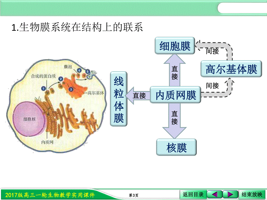 2017届人教版高三生物第一轮复习课件：1-2-4生物膜系统 .ppt_第3页