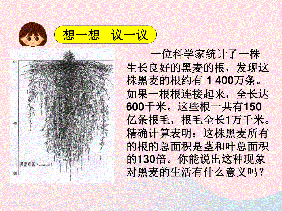 2022七年级生物上册 第三单元 生物圈中的绿色植物第二章 被子植物的一生第二节 植株的生长教学课件 （新版）新人教版.ppt_第2页