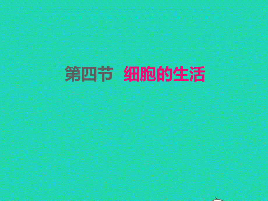 2022七年级生物上册 第二单元 生物体的结构层次第一章 细胞是生命活动的基本单位 第4节细胞的生活课件 （新版）新人教版.ppt_第1页