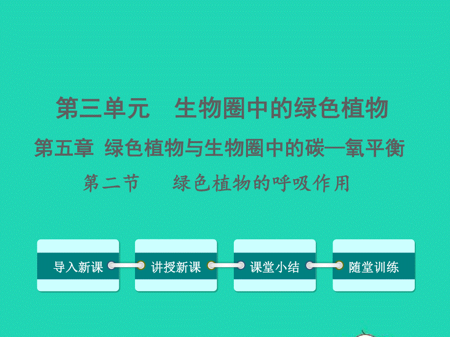 2022七年级生物上册 第三单元 生物圈中的绿色植物第五章 绿色植物与生物圈中的碳—氧平衡第二节 绿色植物的呼吸作用教学课件 （新版）新人教版.ppt_第1页