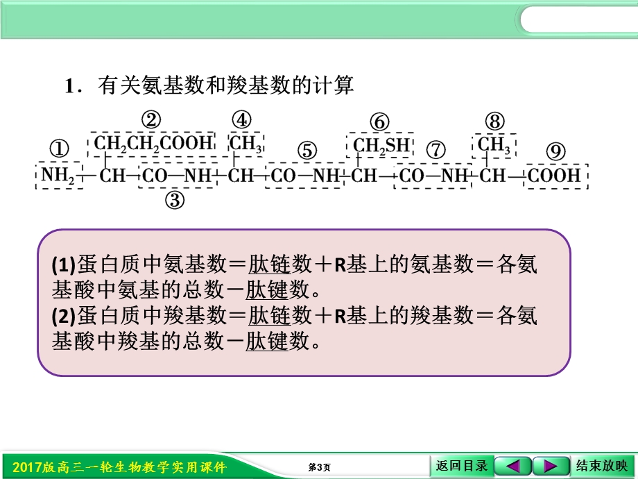 2017届人教版高三生物第一轮复习课件：1-1-8蛋白质的有关计算 .ppt_第3页