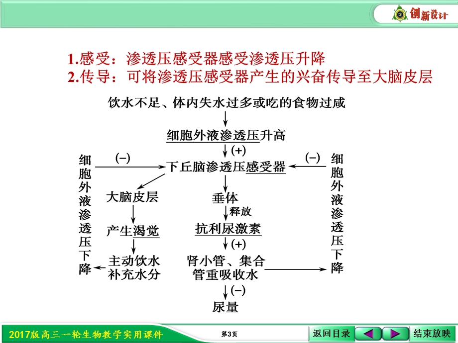 2017届人教版高三生物第一轮复习课件：3-1-6 下丘脑在激素调节中的作用 .ppt_第3页