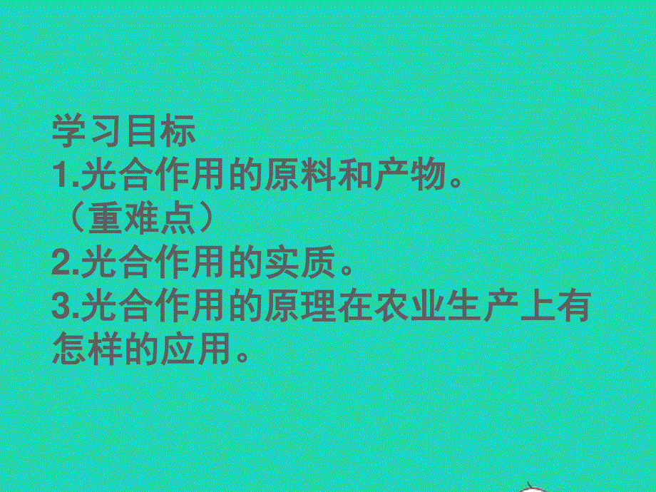 2022七年级生物上册 第三单元 生物圈中的绿色植物第五章 绿色植物与生物圈中的碳—氧平衡 第1节光合作用吸收二氧化碳释放氧气课件 （新版）新人教版.ppt_第2页