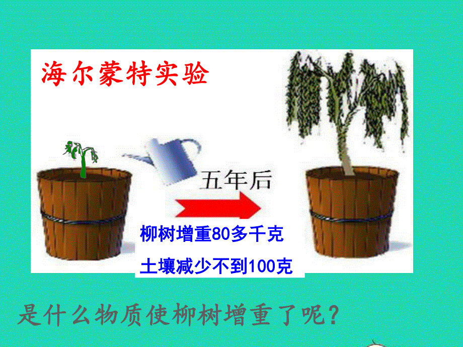 2022七年级生物上册 第三单元 生物圈中的绿色植物第五章 绿色植物与生物圈中的碳—氧平衡 第1节光合作用吸收二氧化碳释放氧气课件 （新版）新人教版.ppt_第3页