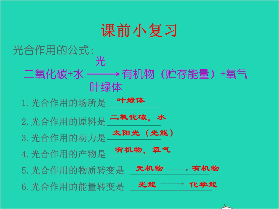 2022七年级生物上册 第三单元 生物圈中的绿色植物第五章 绿色植物与生物圈中的碳—氧平衡 第2节绿色植物的呼吸作用课件 （新版）新人教版.ppt_第2页