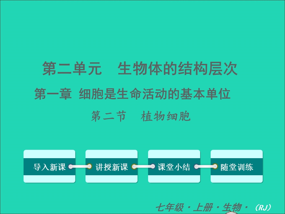 2022七年级生物上册 第二单元 生物体的结构层次第一章 细胞是生命活动的基本单位第二节 植物细胞教学课件 （新版）新人教版.ppt_第1页