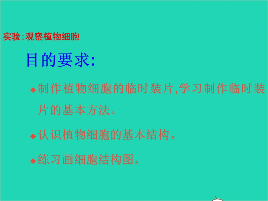 2022七年级生物上册 第二单元 生物体的结构层次第一章 细胞是生命活动的基本单位第二节 植物细胞教学课件 （新版）新人教版.ppt_第3页