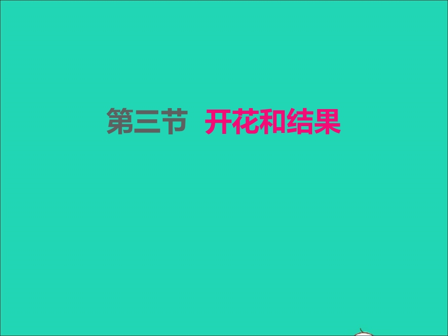 2022七年级生物上册 第三单元 生物圈中的绿色植物第二章 被子植物的一生 第3节开花和结果课件 （新版）新人教版.ppt_第1页