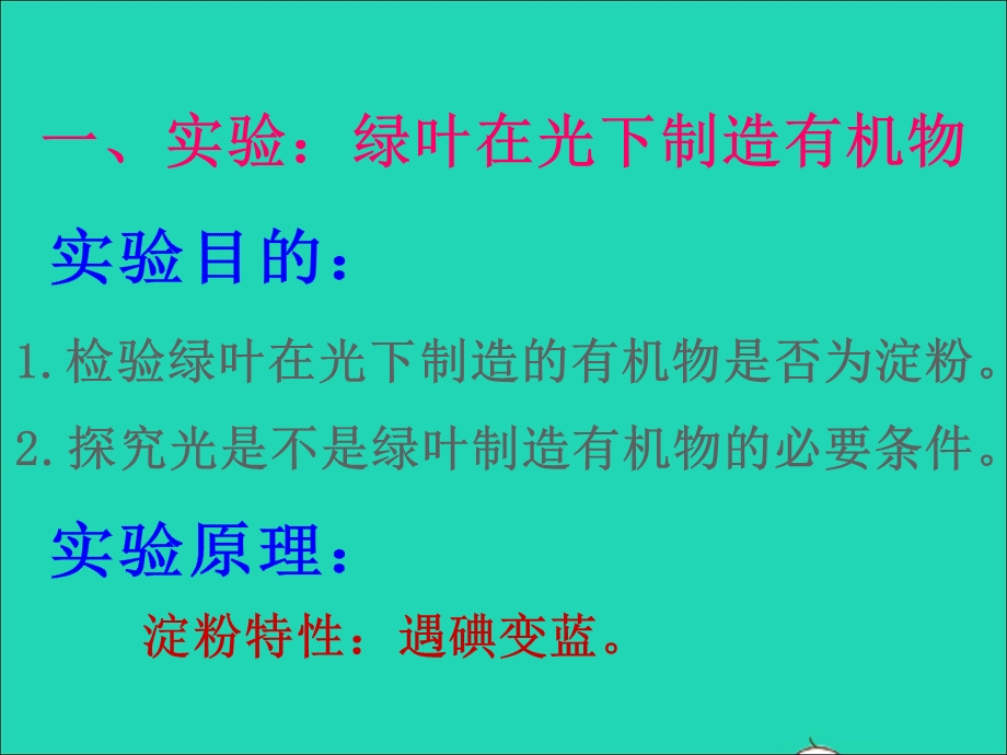 2022七年级生物上册 第三单元 生物圈中的绿色植物第四章 绿色植物是生物圈中有机物的制造者课件 （新版）新人教版.ppt_第3页