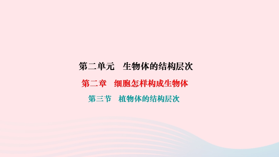 2022七年级生物上册 第二单元 生物体的结构层次第二章 细胞怎样构成生物体第三节 植物体的结构层次作业课件 （新版）新人教版.ppt_第1页