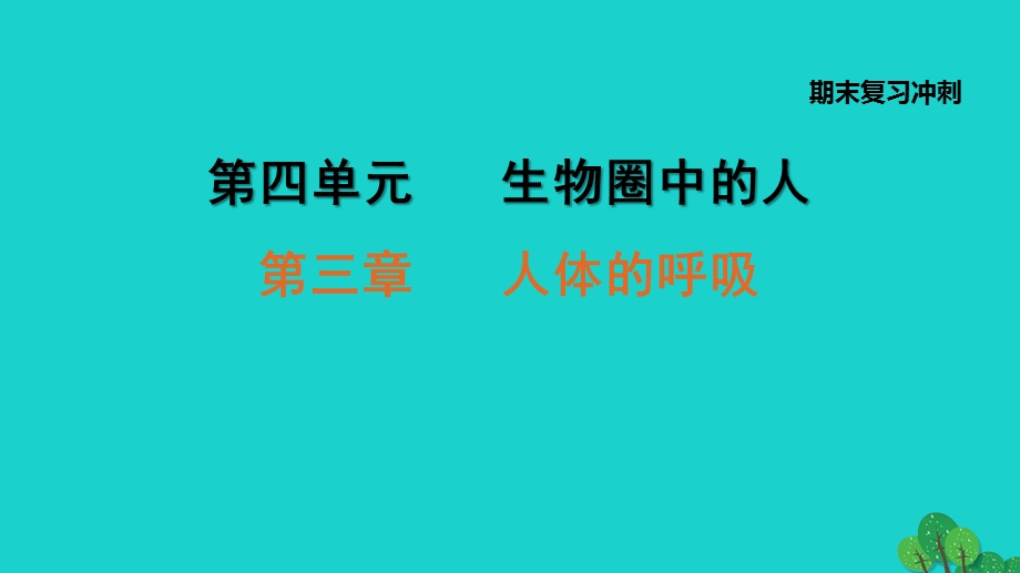 2022七年级生物下册 期末复习冲刺 第三章 人体的呼吸习题课件（新版）新人教版.ppt_第1页