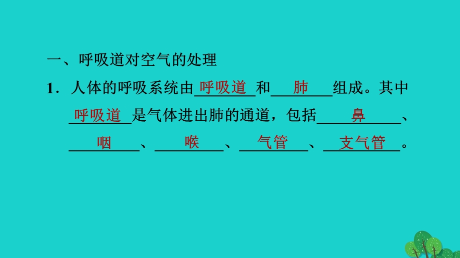 2022七年级生物下册 期末复习冲刺 第三章 人体的呼吸习题课件（新版）新人教版.ppt_第2页