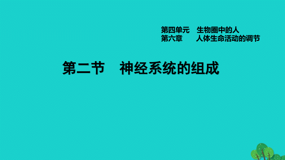 2022七年级生物下册 第四单元 生物圈中的人第六章 人体生命活动的调节第2节 神经系统的组成习题课件（新版）新人教版.ppt_第1页