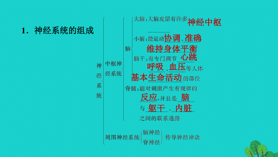 2022七年级生物下册 第四单元 生物圈中的人第六章 人体生命活动的调节第2节 神经系统的组成习题课件（新版）新人教版.ppt_第2页