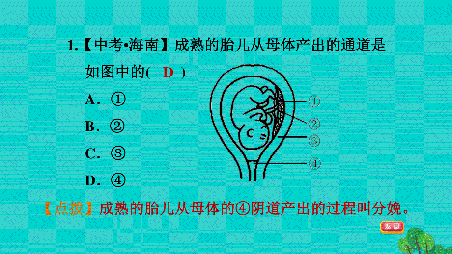 2022七年级生物下册 期末复习冲刺 识图学生物习题课件（新版）新人教版.ppt_第3页