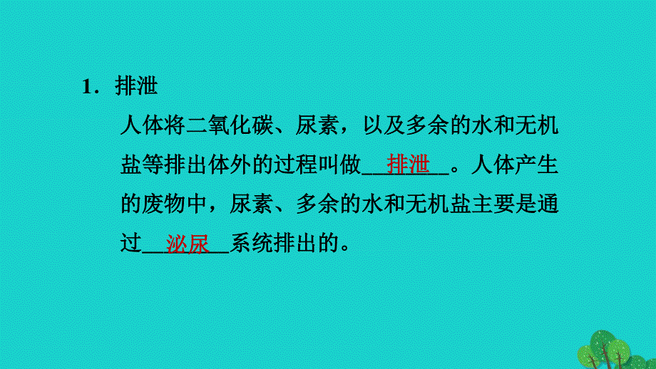 2022七年级生物下册 第四单元 生物圈中的人第五章 人体内废物的排出习题课件（新版）新人教版.ppt_第2页