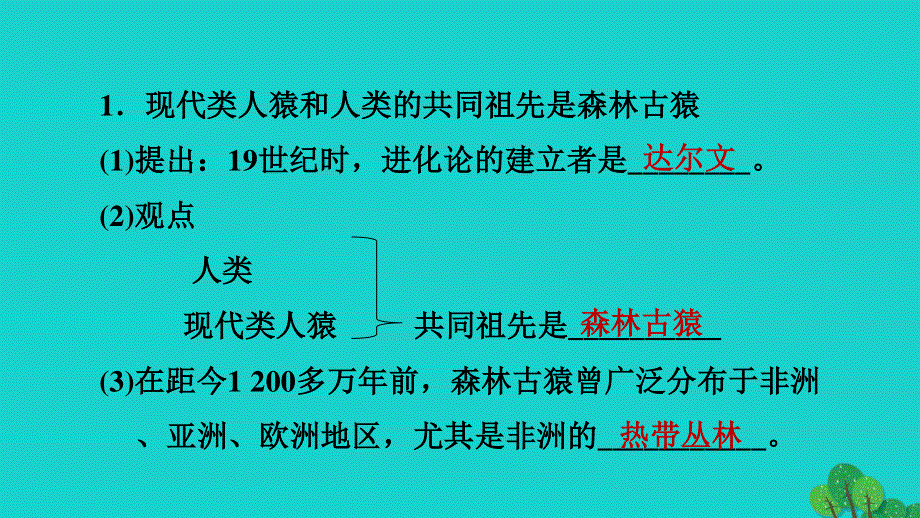 2022七年级生物下册 第四单元 生物圈中的人第一章 人的由来第1节 人类的起源和发展习题课件（新版）新人教版.ppt_第2页