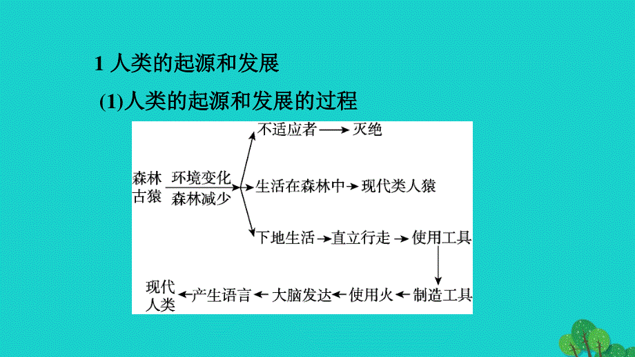 2022七年级生物下册 第四单元 生物圈中的人第一章 人的由来巩固强化复习习题课件（新版）新人教版.ppt_第3页