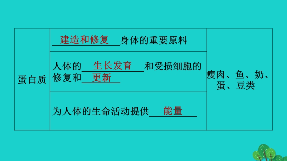 2022七年级生物下册 期末复习冲刺 第二章 人体的营养习题课件（新版）新人教版.ppt_第3页