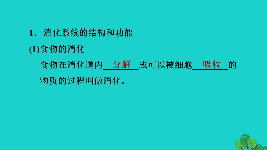 2022七年级生物下册 第四单元 生物圈中的人第二章 人体的营养第2节 消化和吸收第1课时 食物的消化习题课件（新版）新人教版.ppt_第2页