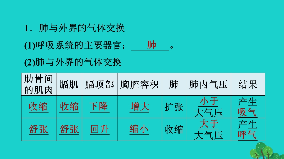 2022七年级生物下册 第四单元 生物圈中的人第三章 人体的呼吸第2节 发生在肺内的气体交换习题课件（新版）新人教版.ppt_第2页