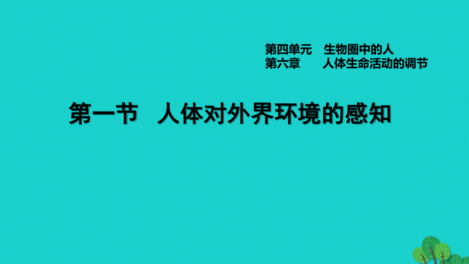 2022七年级生物下册 第四单元 生物圈中的人第六章 人体生命活动的调节第1节 人体对外界环境的感知习题课件（新版）新人教版.ppt_第1页