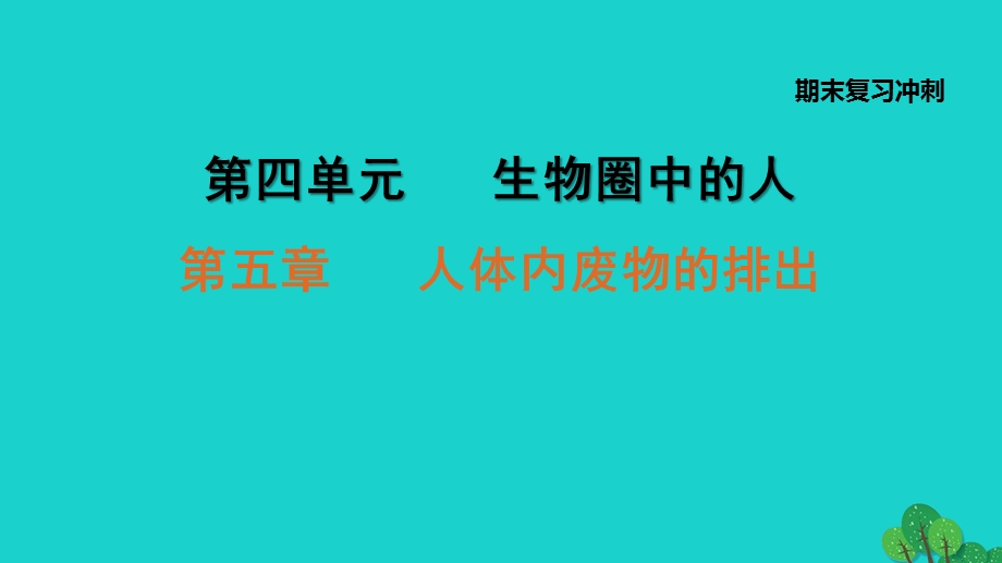 2022七年级生物下册 期末复习冲刺 第五章 人体内废物的排出习题课件（新版）新人教版.ppt_第1页