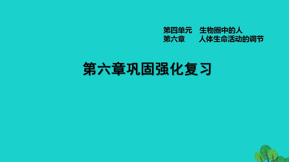 2022七年级生物下册 第四单元 生物圈中的人第六章 人体生命活动的调节巩固强化复习习题课件（新版）新人教版.ppt_第1页