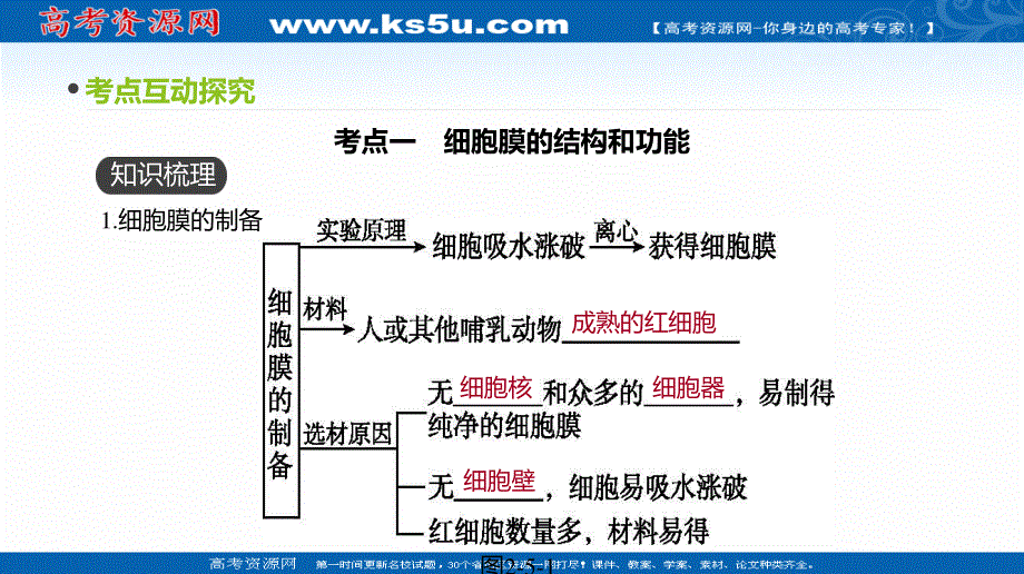 2020届全国通用高考生物优选大一轮复习课件：第2单元 第5讲　细胞膜与细胞核 .ppt_第3页