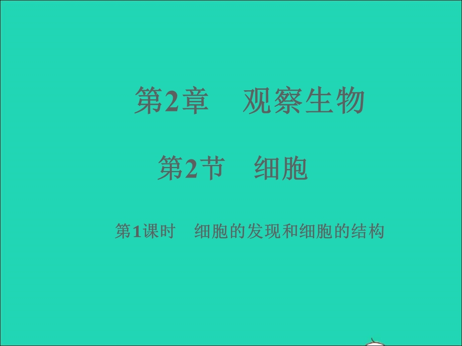 2022七年级科学上册 第2章 观察生物 2.ppt_第1页