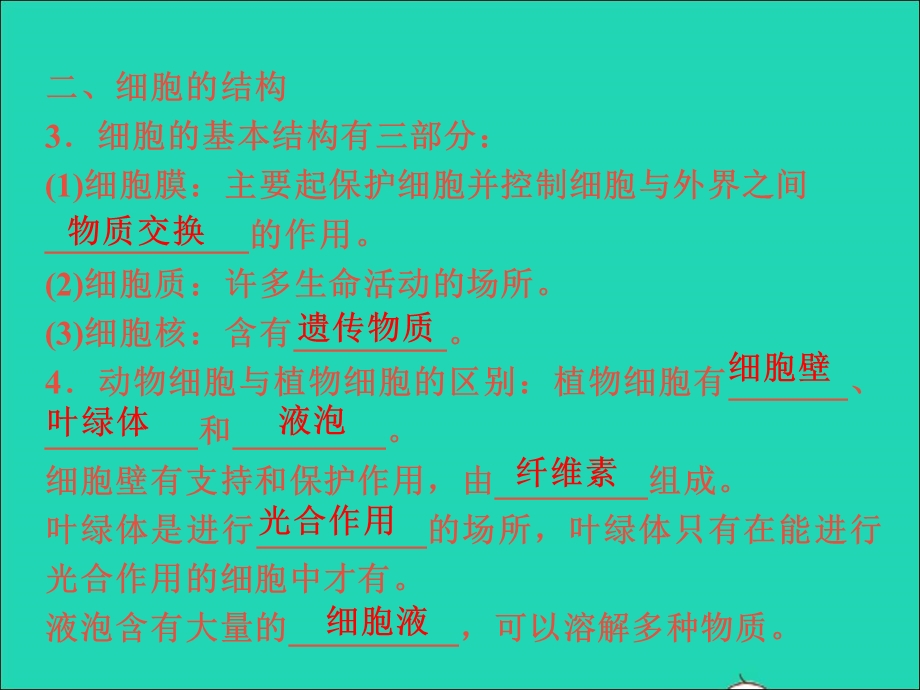 2022七年级科学上册 第2章 观察生物 2.ppt_第3页