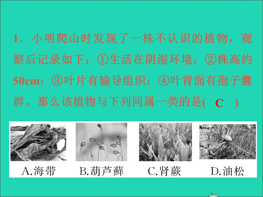 2022七年级科学上册 阶段小卷（五）第2章 观察生物(2.ppt_第2页