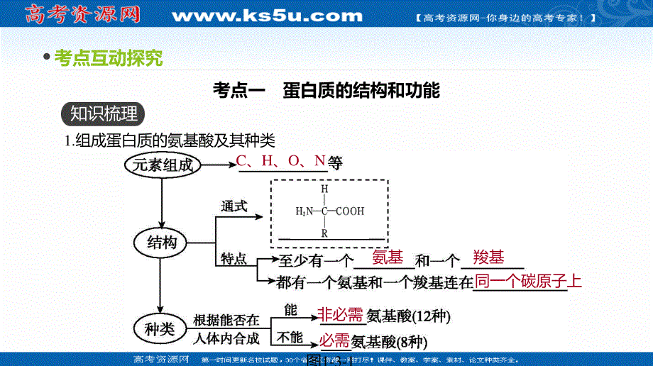 2020届全国通用高考生物优选大一轮复习课件：第1单元 第3讲　生命活动的主要承担者——蛋白质 .ppt_第3页