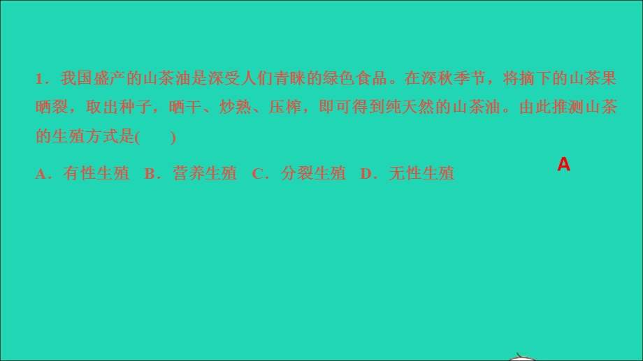 2022七年级科学下册 第1章 代代相传的生命(第4-6节)测试习题课件 （新版）浙教版.ppt_第2页