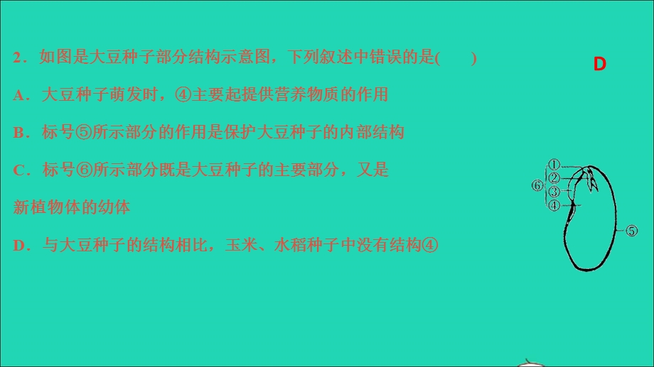 2022七年级科学下册 第1章 代代相传的生命(第4-6节)测试习题课件 （新版）浙教版.ppt_第3页