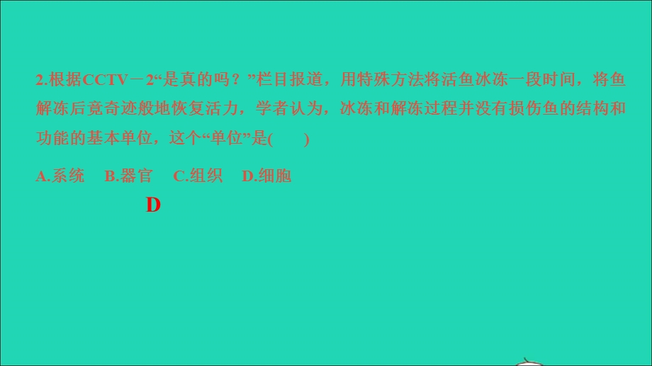 2022七年级科学上册 第2章 观察生物(综合卷A)课件 （新版）浙教版.ppt_第3页