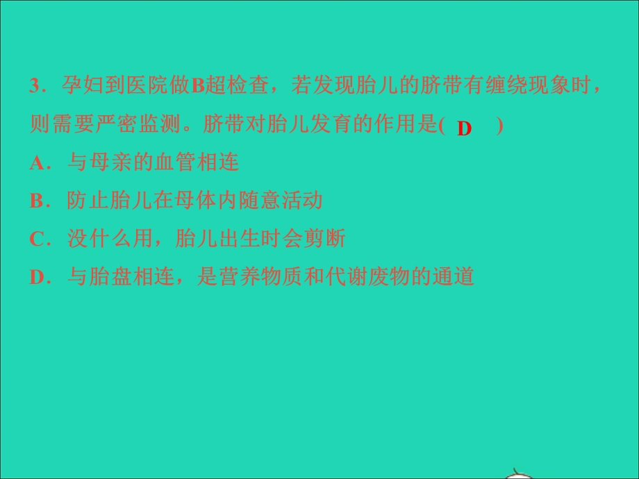 2022七年级科学下册 阶段小卷（一）第1章 代代相传的生命(1.ppt_第3页