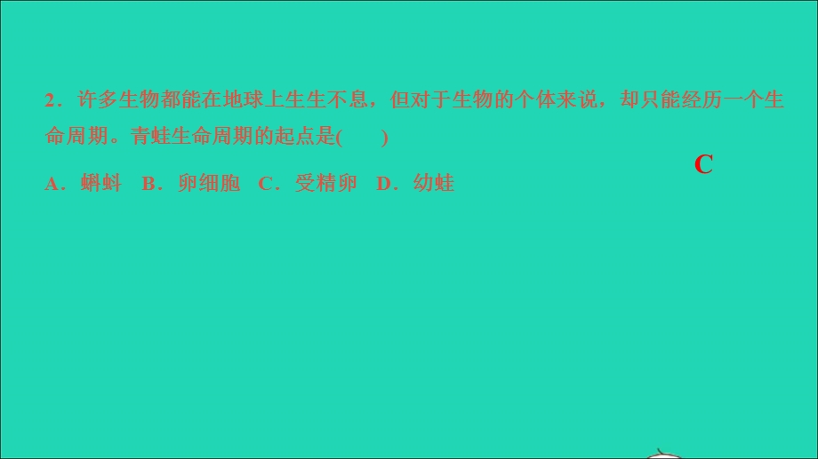 2022七年级科学下学期期末测试习题课件 （新版）浙教版.ppt_第3页